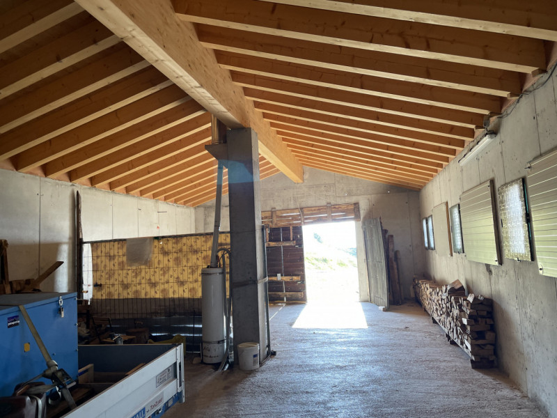 OUR EXCLUSIVE: we are offering for sale the historic "MALGA VEDETTA", one of the most beautiful m...