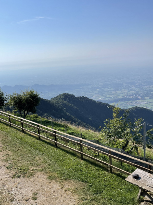 OUR EXCLUSIVE: we are offering for sale the historic "MALGA VEDETTA", one of the most beautiful m...