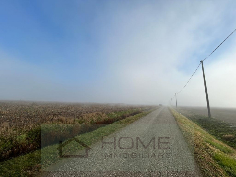 Proponiamo in vendita un terreno agricolo ad uso seminativo di circa 6267 mq, corrispondenti a ci...