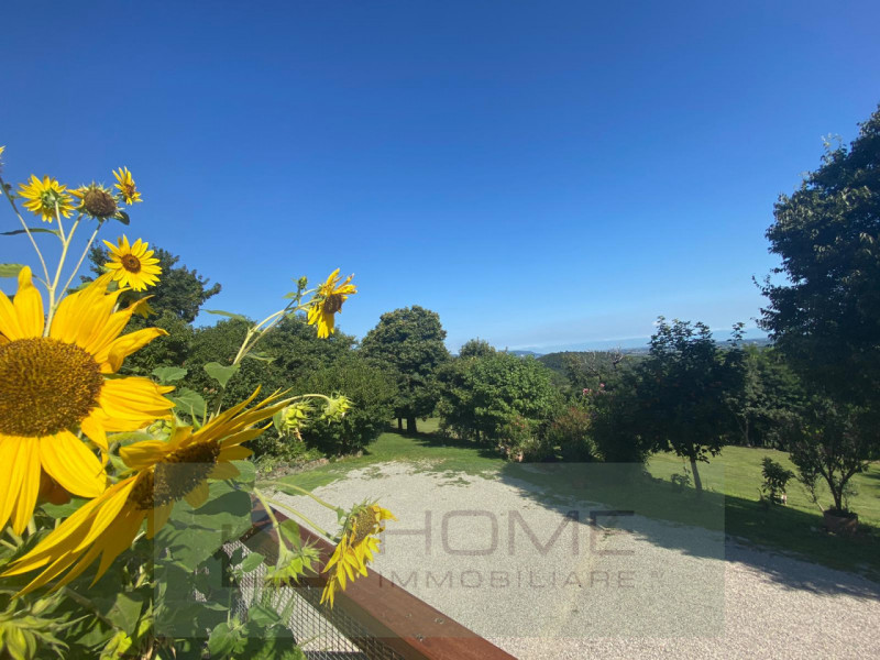 Importante struttura ricettiva/turistica country house in area parco colli euganei a 160 metri su...