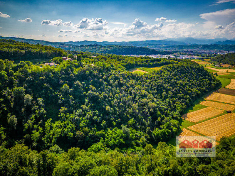 ARCUGNANO COLLINA – VILLA MONTANARI: UN GIOIELLO IN ATTESA DI RINASCERE

Adagiata sulle dolci col...