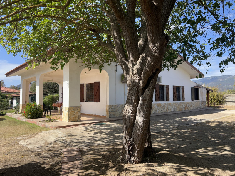 Pula Vendita Casa singola terratetto