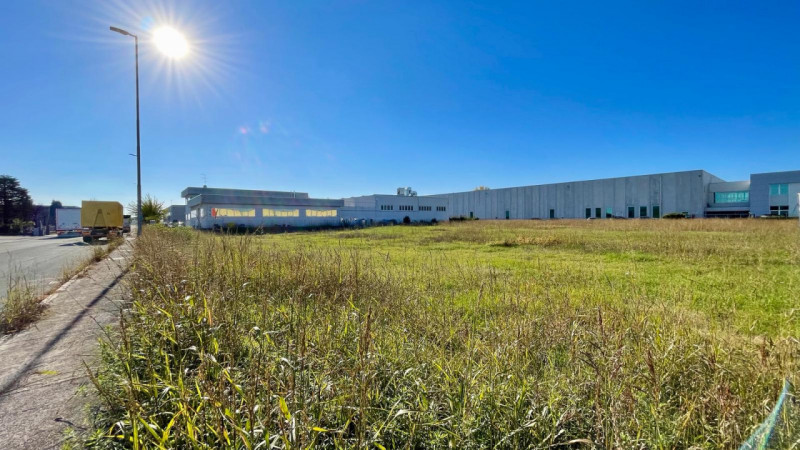 Terreni in Vendita a Novi di Modena