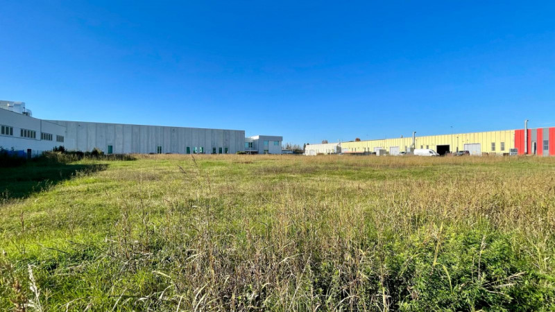 Terreni in Vendita a Novi di Modena