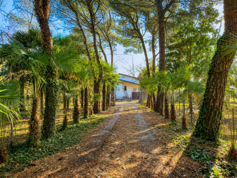 VILLA SINGOLA DI OLTRE 400 MQ CON PARCO DI OLTRE 9.000 MQ, LAGHETTO, DEPENDANCE E POTENZIALE PER ...