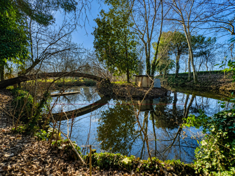 VILLA SINGOLA DI OLTRE 400 MQ CON PARCO DI OLTRE 9.000 MQ, LAGHETTO, DEPENDANCE E POTENZIALE PER ...
