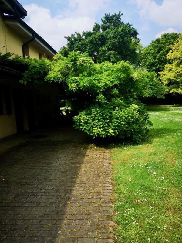 SALBORO, POZZOVEGGIANI, BELLA E PARTICOLARE VILLA SINGOLA DI MQ. 700 CON PARCO ESCLUSIVO, RECINTA...