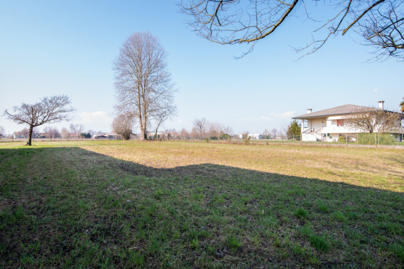 MARSANGO: Splendido rustico veneto immerso nella natura, con corpo centrale abitativo e affascina...