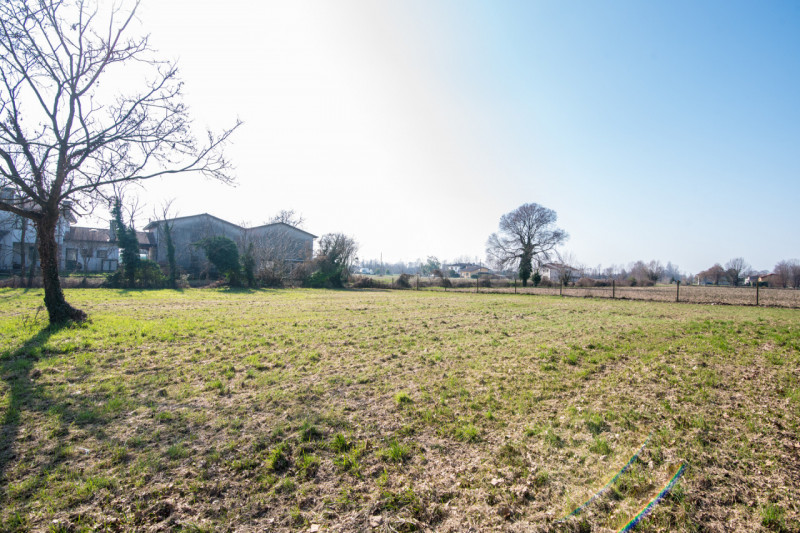 MARSANGO: Splendido rustico veneto immerso nella natura, con corpo centrale abitativo e affascina...