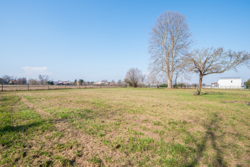 MARSANGO: Splendido rustico veneto immerso nella natura, con corpo centrale abitativo e affascina...