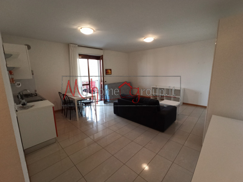 Ponte San Nicolò Affitto Monolocale