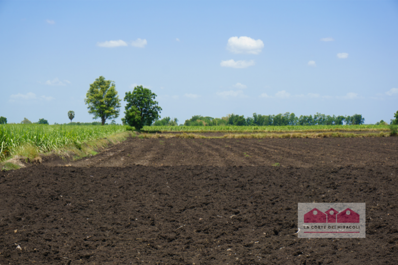 VILLAFRANCA PADOVANA: PROPONIAMO DUE LOTTI DI TERRENO DI CIRCA 2.200 MQ L'UNO, GIÀ LOTTIZZATI, SU...