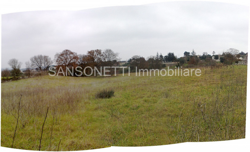 immagine annuncio 11 di 14