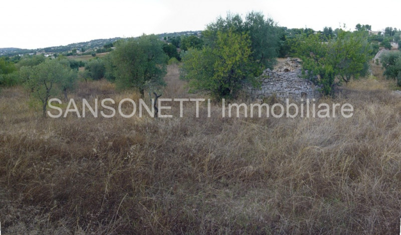 immagine annuncio 12 di 14