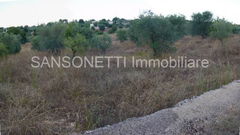 immagine annuncio 13 di 14