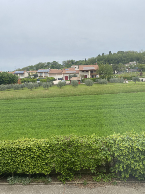 In vendita a Montebelluna, nella zona di Biadene, proponiamo una spaziosa casa a schiera. Con i s...