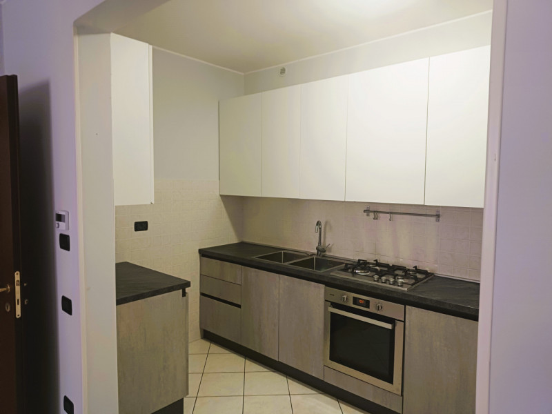 Badia Polesine Affitto Appartamento quadrilocale