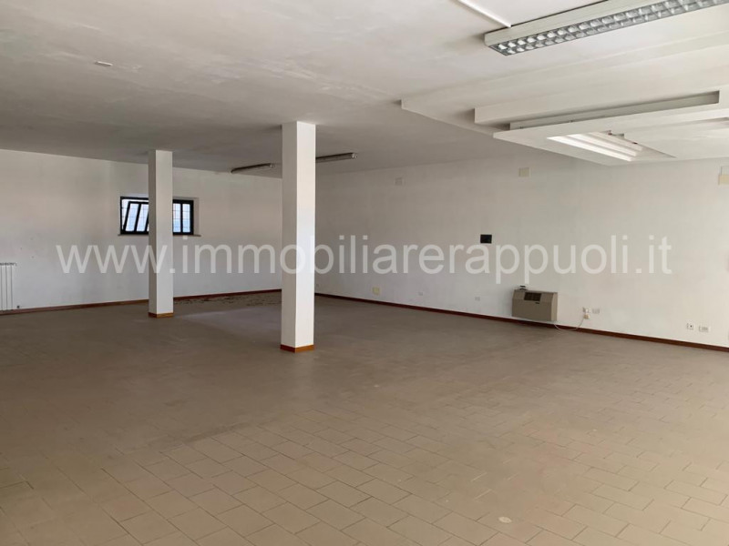 Attività commerciale in Vendita a Torrita di Siena