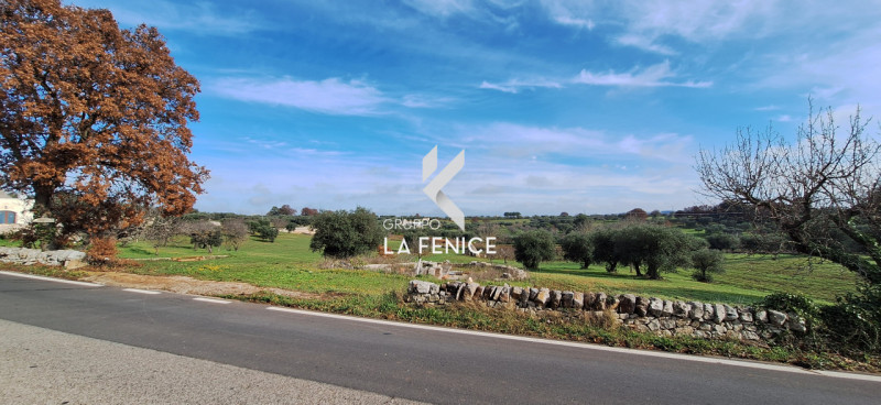 Martina Franca Vendita Terreno seminativo