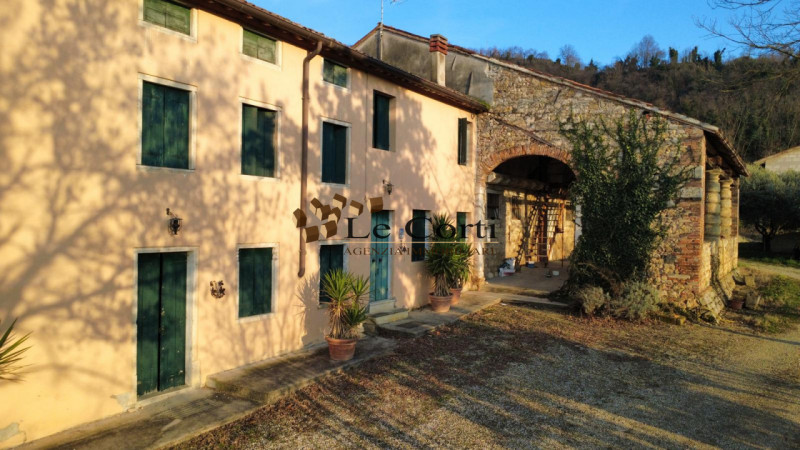 Proponiamo in vendita ampia proprietà composta da abitazione, terreno agricolo a vigneto e un'att...