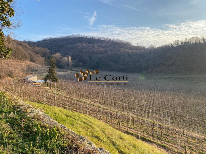 Proponiamo in vendita ampia proprietà composta da abitazione, terreno agricolo a vigneto e un'att...