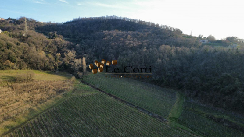 Proponiamo in vendita ampia proprietà composta da abitazione, terreno agricolo a vigneto e un'att...