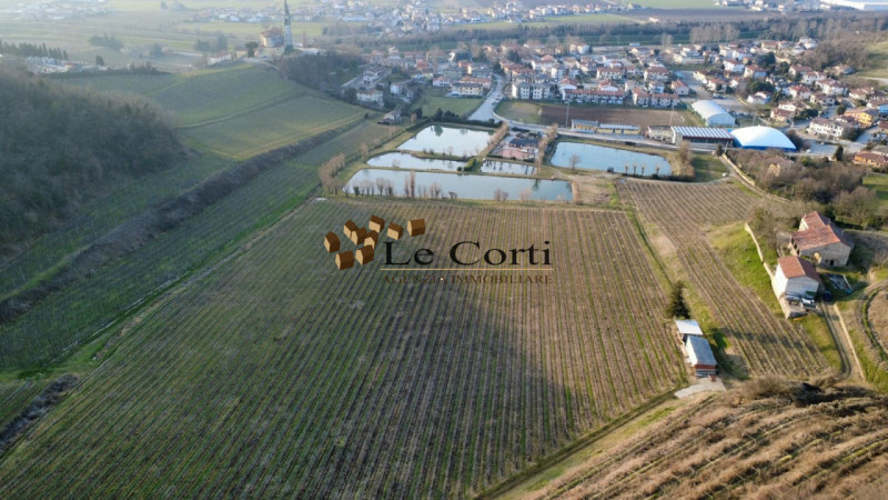 Proponiamo in vendita ampia proprietà composta da abitazione, terreno agricolo a vigneto e un'att...
