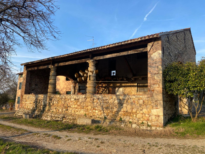 Proponiamo in vendita ampia proprietà composta da abitazione, terreno agricolo a vigneto e un'att...