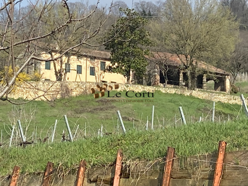 Proponiamo in vendita ampia proprietà composta da abitazione, terreno agricolo a vigneto e un'att...