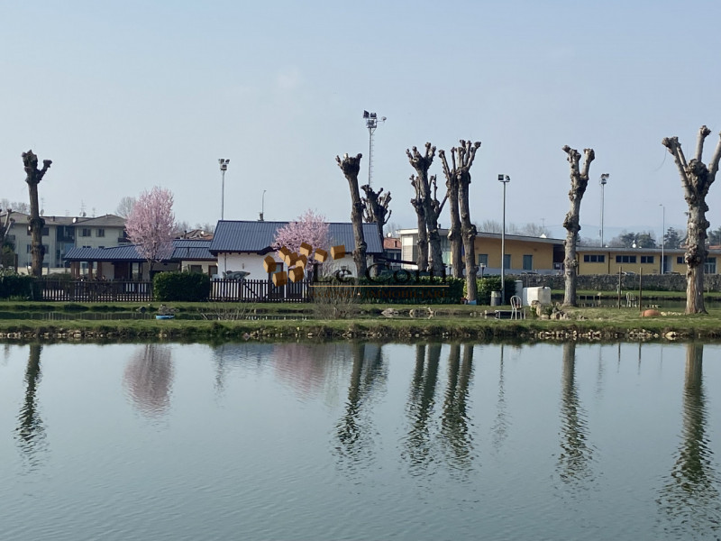 Proponiamo in vendita ampia proprietà composta da abitazione, terreno agricolo a vigneto e un'att...