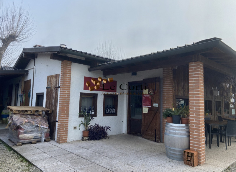 Proponiamo in vendita ampia proprietà composta da abitazione, terreno agricolo a vigneto e un'att...