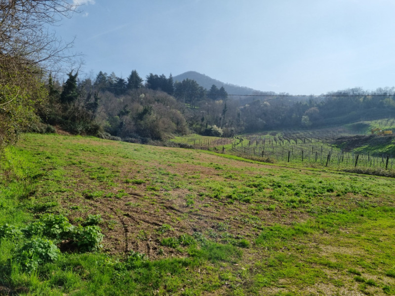 Castelnuovo di Teolo, sita in piacevole posizione panoramica ed abbastanza isolata, proponiamo in...