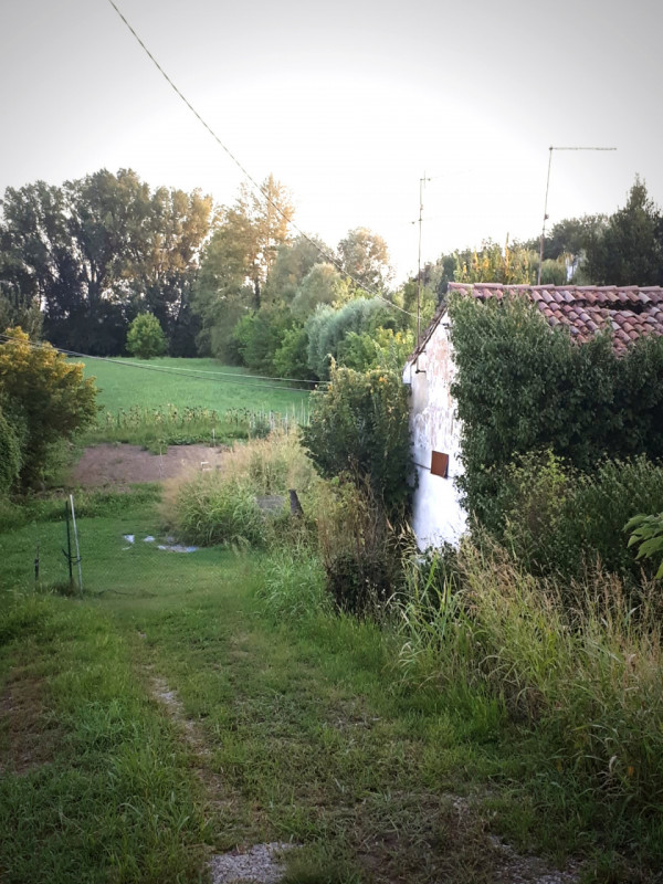 Rovigo Vendita Terreno terreno agricolo/coltura