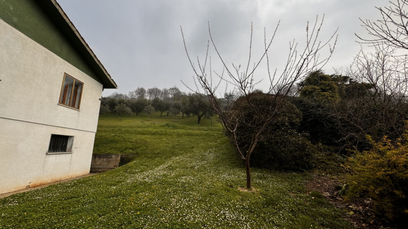 Scopri questa splendida casa singola terratetto situata a Lozzo Atestino, immersa nel meraviglios...