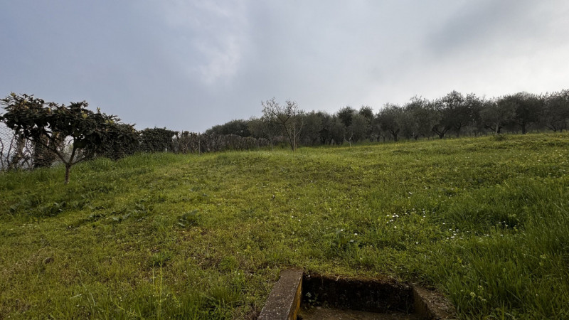 Scopri questa splendida casa singola terratetto situata a Lozzo Atestino, immersa nel meraviglios...