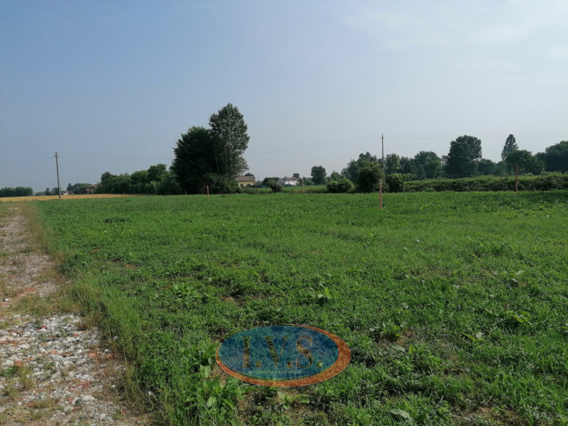 Villafranca Padovana (PD): In tranquilla posizione immersa nel verde, proponiamo ULTIMA porzione ...