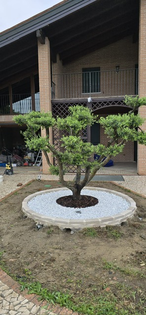 SAN GIORGIO DELLE PERTICHE   vendesi stupenda casa singola con giardino di 1000 mq caratterizzata...