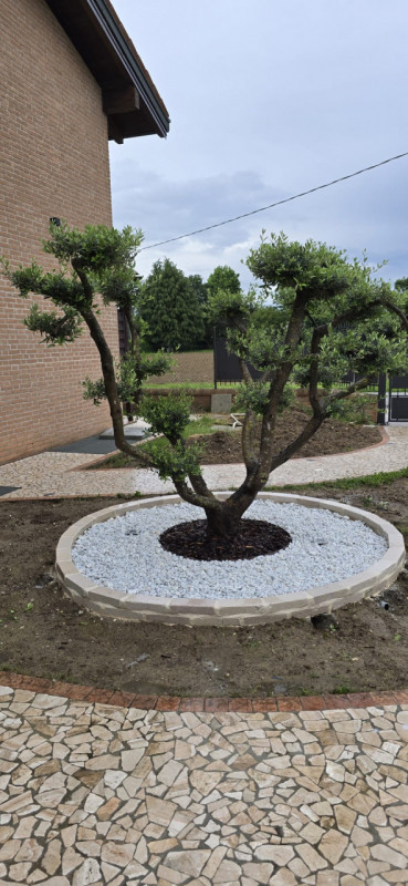 SAN GIORGIO DELLE PERTICHE   vendesi stupenda casa singola con giardino di 1000 mq caratterizzata...