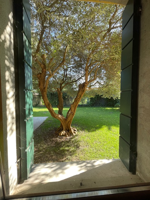 SAN GIORGIO DELLE PERTICHE   vendesi stupenda casa singola con giardino di 1000 mq caratterizzata...