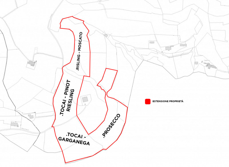 Proponiamo in vendita un terreno agricolo a vigneto ed uliveto di circa 50.000 mq situato nella s...