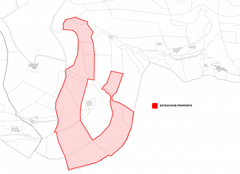 Proponiamo in vendita un terreno agricolo a vigneto ed uliveto di circa 50.000 mq situato nella s...