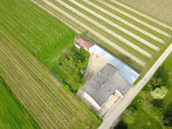 San Vito al Tagliamento Vendita Bifamiliare