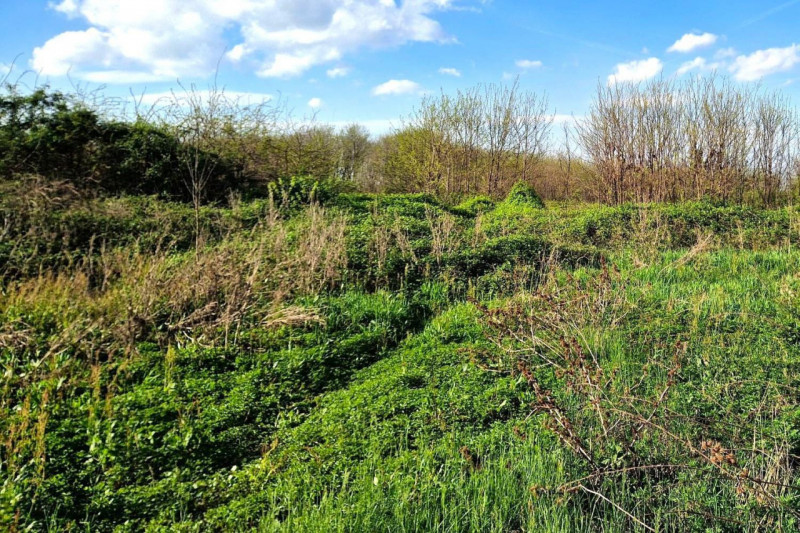 Quest’immobile viene venduto tramite asta online.

Terreno edificabile sito a Vicenza (VI), vicin...