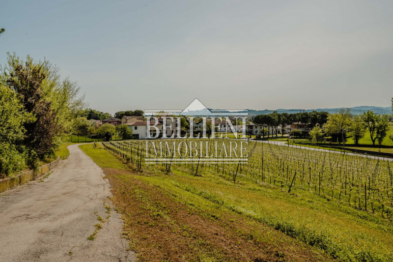 BIRON - Nella zona denominata "Biron", proponiamo in vendita una villa storica, inserita in un co...