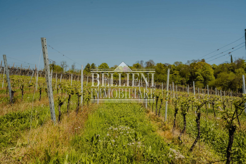 BIRON - Nella zona denominata "Biron", proponiamo in vendita una villa storica, inserita in un co...