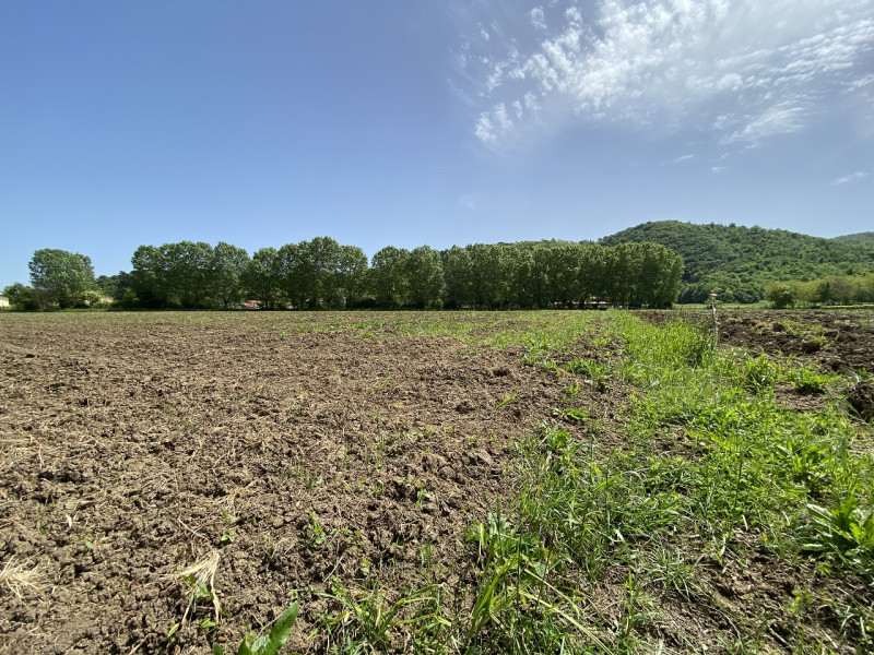 VILLA DI TEOLO- Inserito all'interno della riserva denominata Biosfera Mab Unesco, proponiamo int...