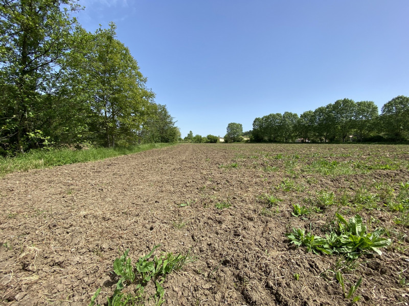 VILLA DI TEOLO- Inserito all'interno della riserva denominata Biosfera Mab Unesco, proponiamo int...