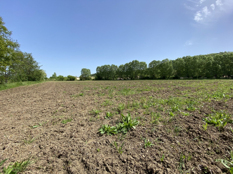 VILLA DI TEOLO- Inserito all'interno della riserva denominata Biosfera Mab Unesco, proponiamo int...