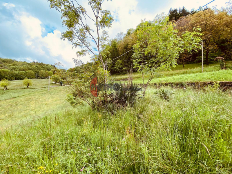 Bellissimo rustico di circa 100 mq situato nella zona Massignani a Valdagno. L'immobile è complet...