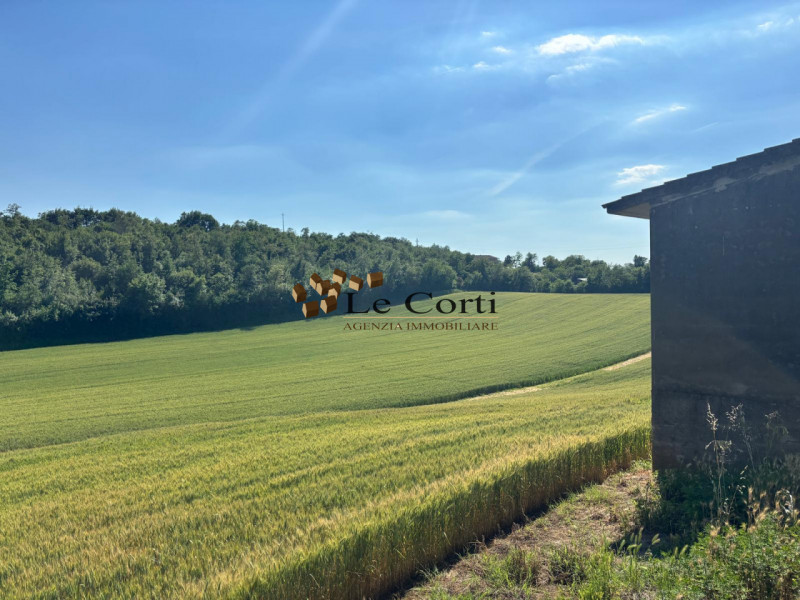 Scoprite un'opportunità unica nel cuore delle colline a Lonigo. Proponiamo in vendita un affascin...